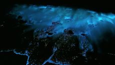 Bioluminescence 20220904 214915 AT Song Saa Private Island