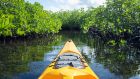 Mangrove kayak AT Song Saa Private Island
