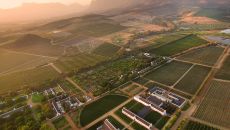 Spa aerial overview at Babylonstoren