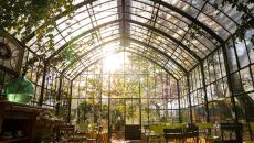 Light filled Greenhouse at Babylonstoren