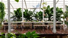 Group lunch in the Spice House at Babylonstoren