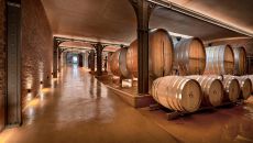 Subterranean wine tunnel at Babylonstoren