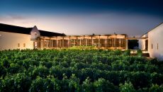 Tasting Room at sunset at Babylonstoren