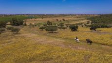 horseback riding at Herdade Da Malhadinha Nova