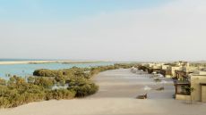 Villas facing the lush mangrove lagoon