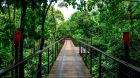 Walkway Nayara Springs