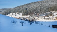 view from hill3 at Hotel Traube Tonbach