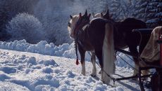 Winterkutsche Traube Tonbach at Hotel Traube Tonbach