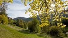 hills at Hotel Traube Tonbach