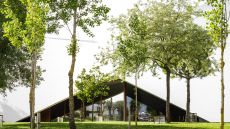 Main Building L AND Vineyards