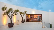 Lounge L AND Vineyards