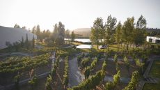 Outside L AND Vineyards