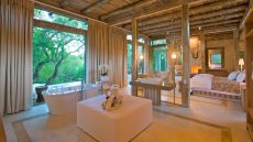 See more information about Kapama Karula Private Game Reserve Forested view from the deck