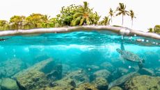 IMG 2115 at Hyatt Regency Maui Resort Spa