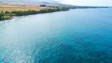 DJI 0079 at Hyatt Regency Maui Resort Spa