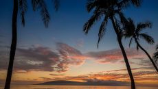 LANAI palm sunset view at Hyatt Regency Maui Resort Spa