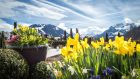 spring Outdoor The Alpina Gstaad