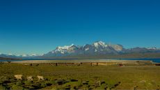 tierra patagonia with lake sarmiento in background