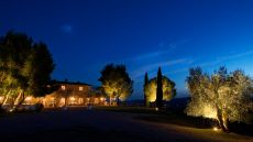 hotel gardens at night
