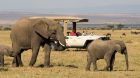  mahali mzuri game vehicle elephants 