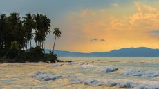 801 5356 Beach Sublime Samana