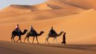 Camels desert dunes Waldorf Astoria Ras Al Khaimah