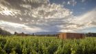 Vineyard Lofts Views 2022 AT Entre Cielos Wine and Wellness Hotel