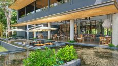 dining1 El Mangroove