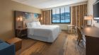 King Premier Guest Room Lake View