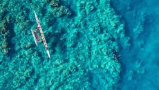 snorkeling Andaz Maui at Wailea Resort