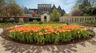 Exterior tulips