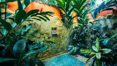 Rainforest Pool Villa