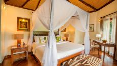 Rainforest Pool Villa