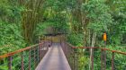 Jungle Nayara Gardens