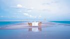 romantic beach dinner