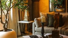 lobby at Olive Boutique Hotel Adults Only