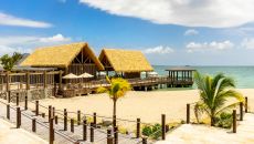 Exterior Fishermans Village Jetty Coconut Trees Park Hyatt St Kitts
