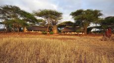 Sanctuary Swala main area