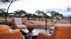 Sanctuary Swala lounge deck