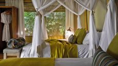 Bedroom Sanctuary Gorilla Forest Camp