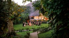 Fire Sanctuary Gorilla Forest Camp