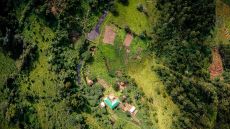 Aerial Sanctuary Gorilla Forest Camp