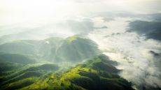 Aerial Sanctuary Gorilla Forest Camp