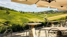 Winery terrace Palazzo Di Varignana