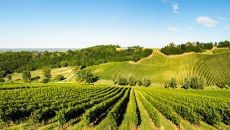 Agricultural Estate Palazzo Di Varignana