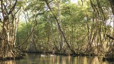 Laguna Gri Gri Stand Up Paddle Board 24654at Amanera