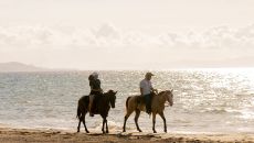 Activity Horseriding 44761at Amanera