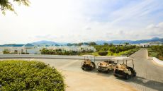 Wide Angle View Banyan Tree Tamouda Bay