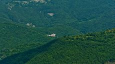 resort in the forest