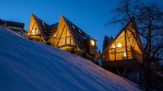  Tree Lofts  Exterior 